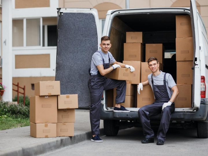 Detailed Look On Removal Services
