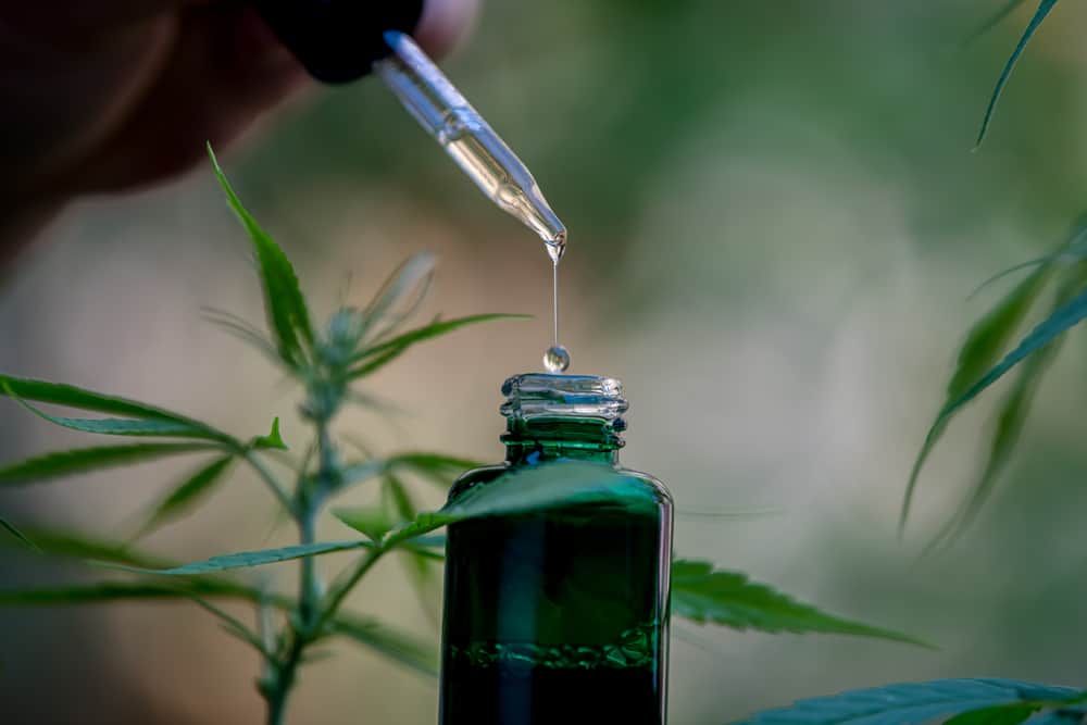 Best Full Spectrum CBD Oil – An Overview