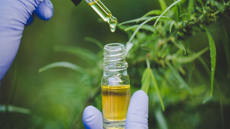 Shop CBD Now – What Every Person Should Consider