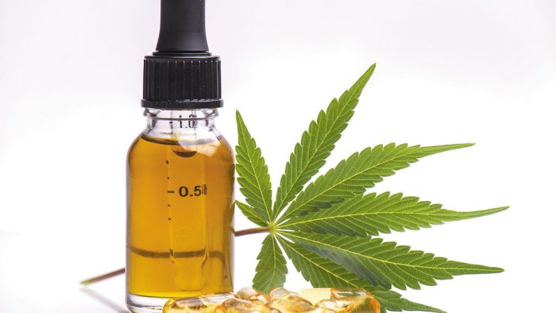 Buy CBD Oil – What Every Person Should Think About
