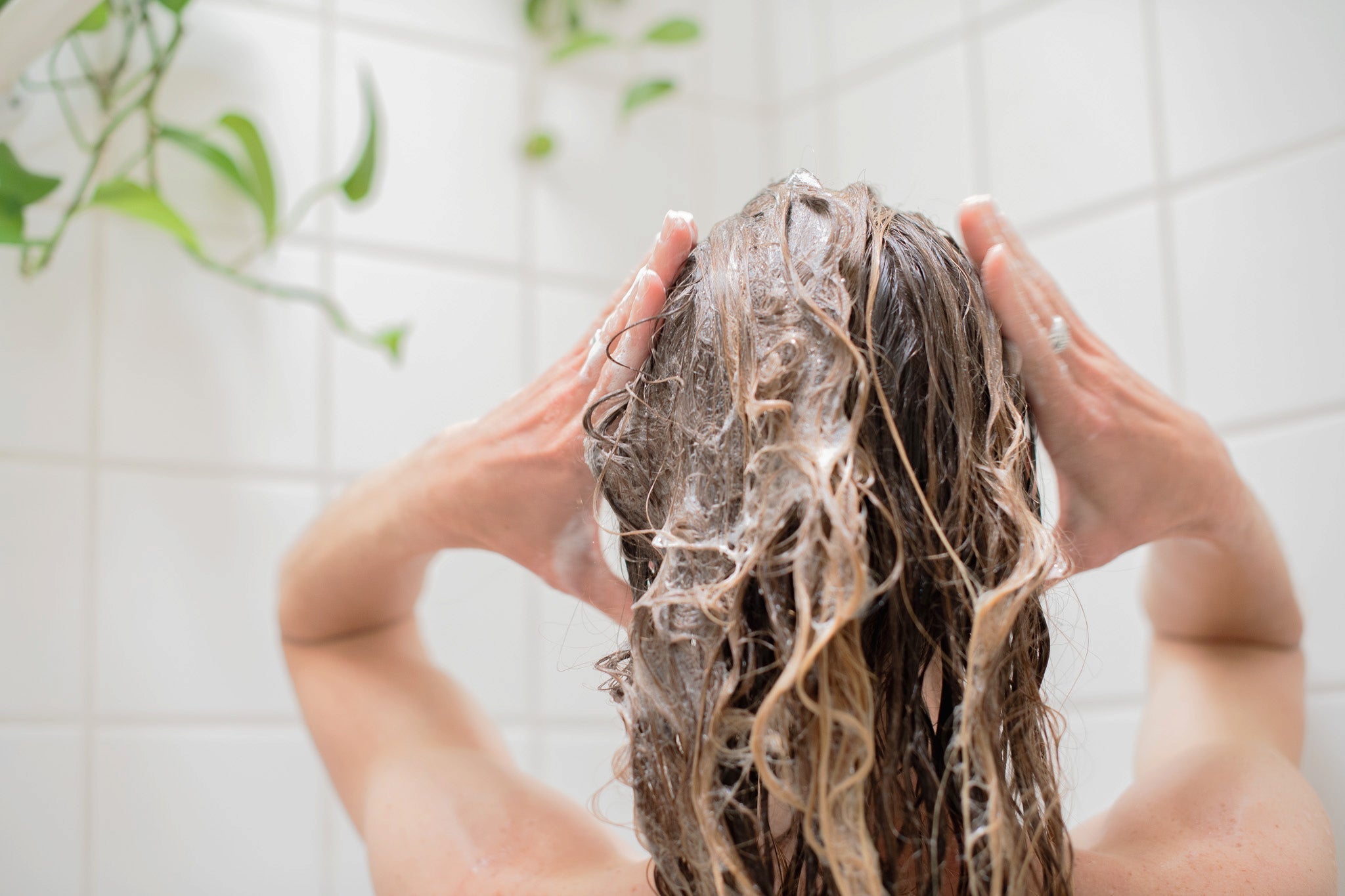 Scalp Moisture – What You Need To Learn