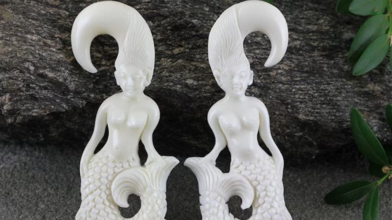 All You Want To Know About The Flesh Tunnel Earrings