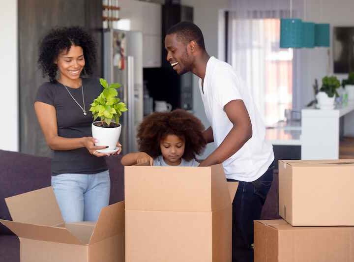 Expert Removals Team – An Overview