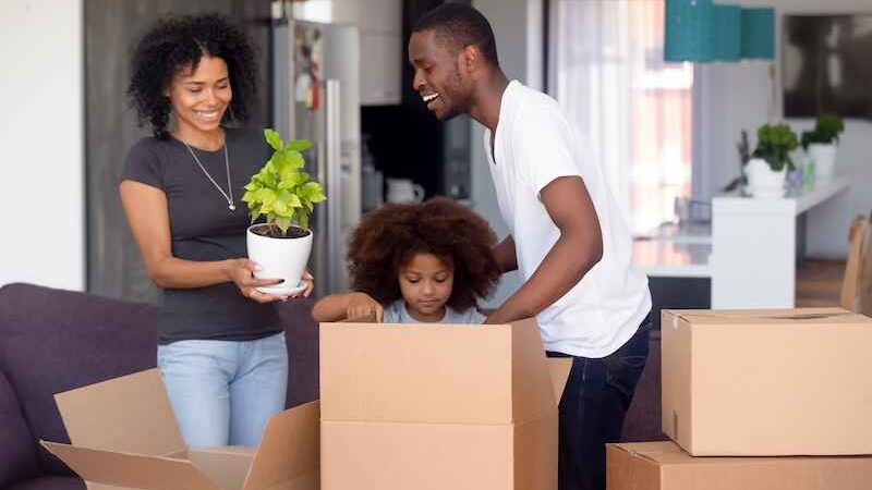 Expert Removals Team – An Overview