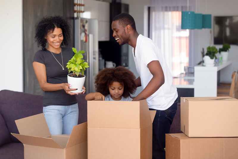 Expert Removals Team – An Overview