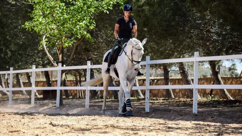 In-Depth Study On The Horse Riding Lessons