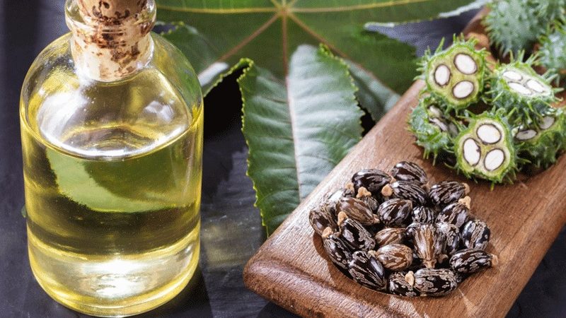 The Importance Of Natural Castor Oil