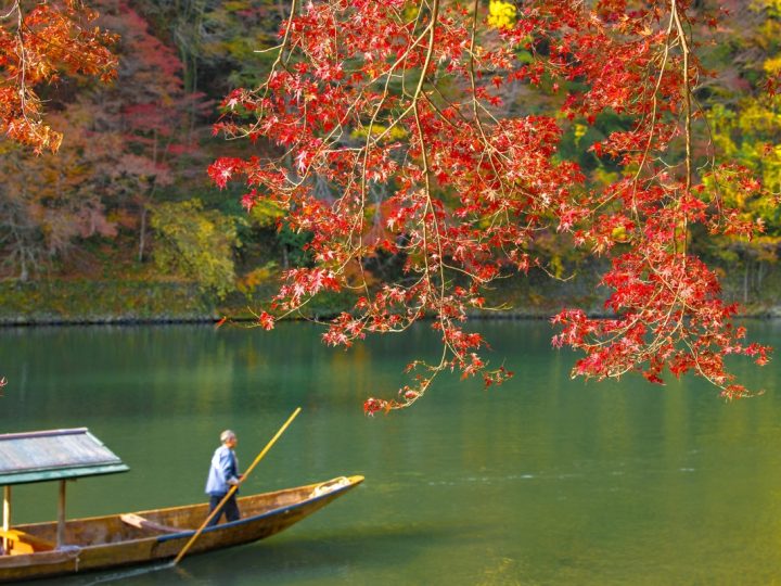 Information On Scenic Boat Ride