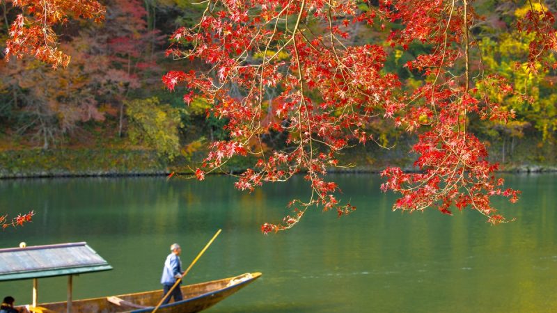Information On Scenic Boat Ride