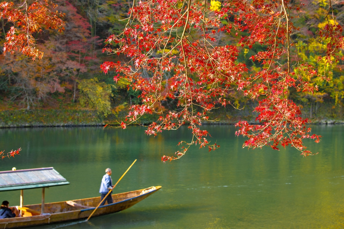 Information On Scenic Boat Ride