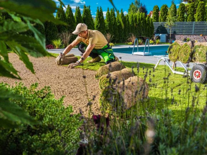 Creative Gardening Solutions – What Every User Must Look Into