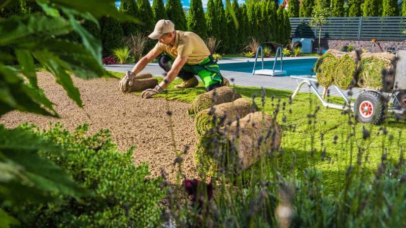 Creative Gardening Solutions – What Every User Must Look Into