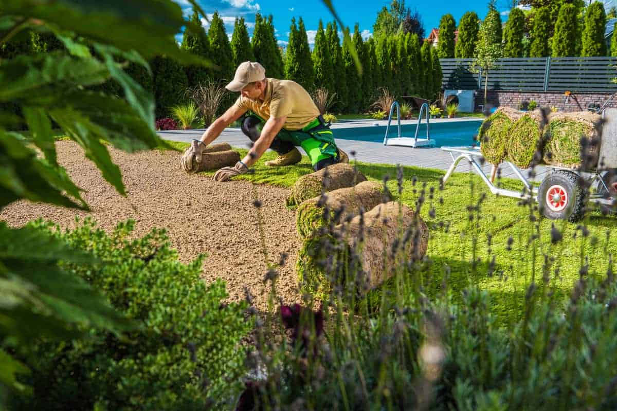 Creative Gardening Solutions – What Every User Must Look Into
